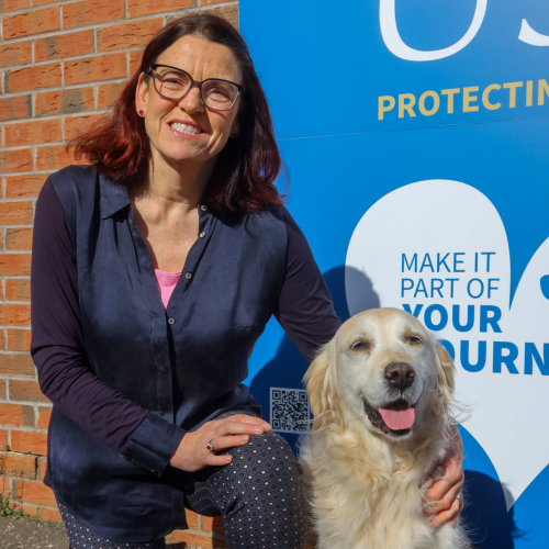 Pauline Sheenan profile picture