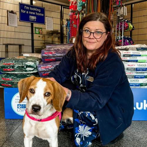 Siobhan McHaffie profile picture