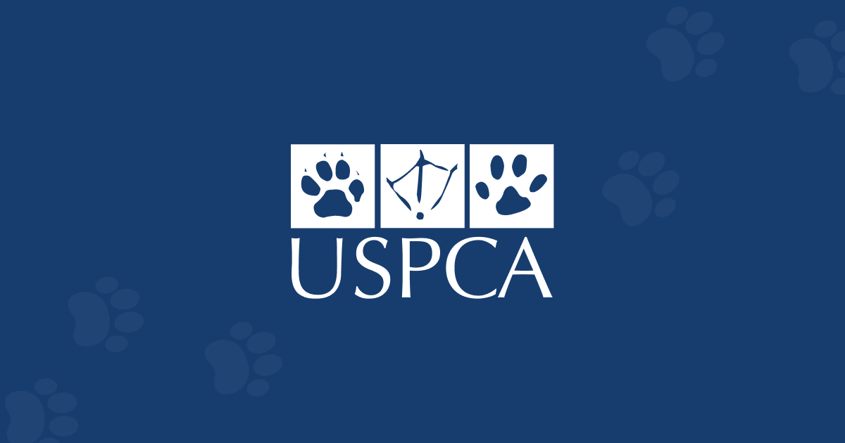 Placeholder image for news thumbnail