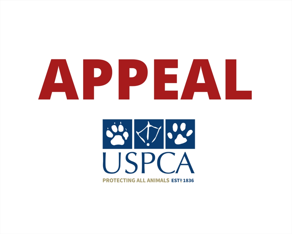 USPCA Launches Appeal Following Disturbing Discovery of Dog Remains