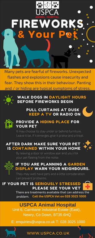 Fireworks & Your Pets Safety – USPCA Advice