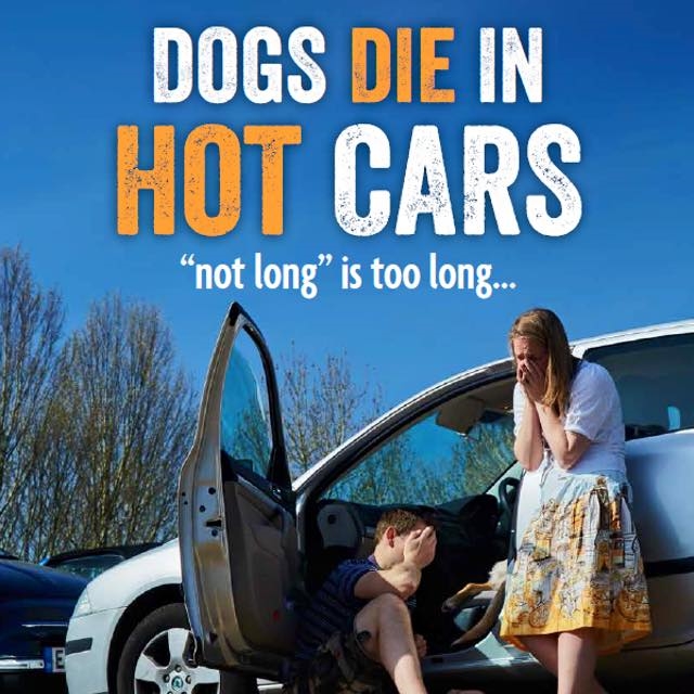 Public Warning – Dogs Die in Hot Cars