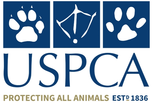 USPCA Issues Statement Following Previous Chief Executive Stephen Philpott Court Case