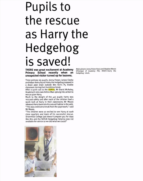 newtownards-chronicle-07-oct-2013-harry-the-hedgehog