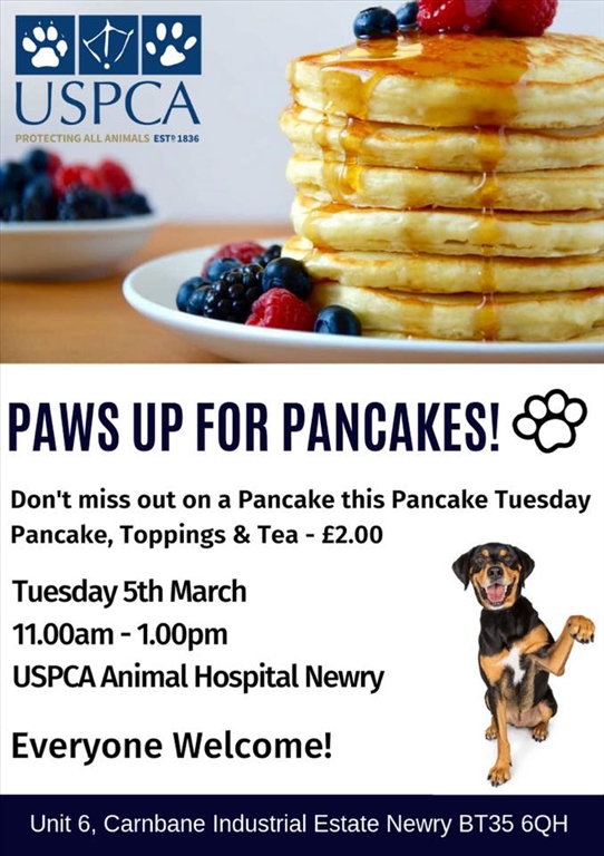 paws-up-for-pancakes-poster