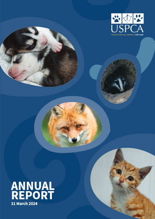 Annual Reports