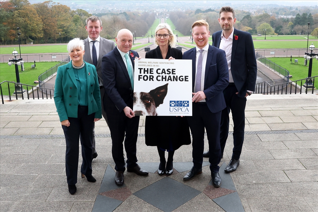 USPCA Receives Cross-Party Support for Launch of Animal Welfare Sentencing Review