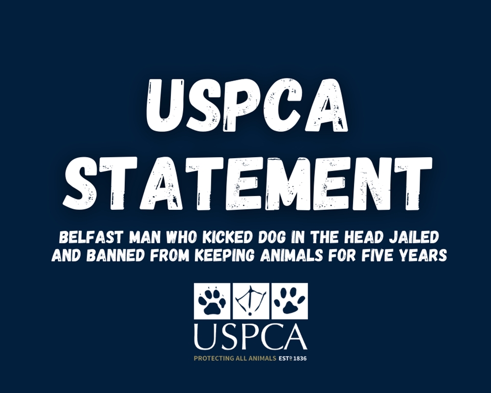 USPCA Renews call for Banned Offenders Register