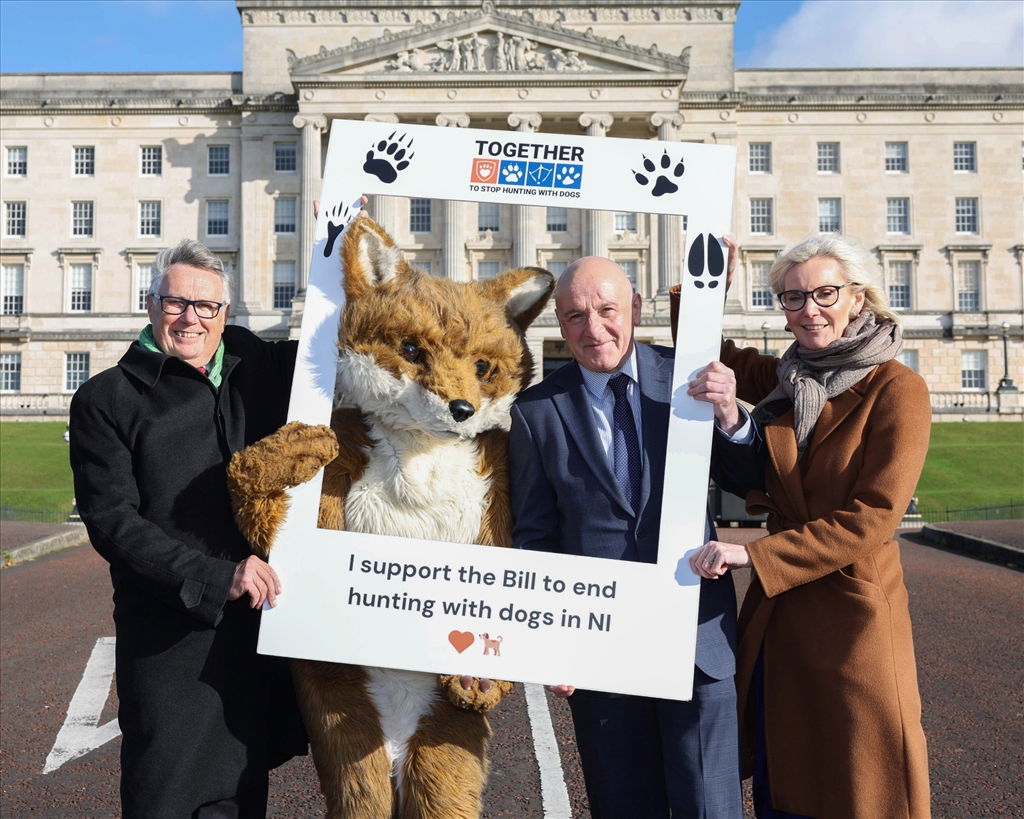 Charities Welcome Launch of Ban on Hunting Private Members Bill Consultation