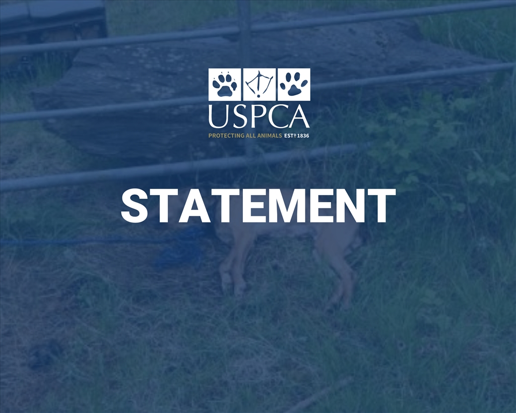 USPCA respond to discovery of deceased dog in Keady