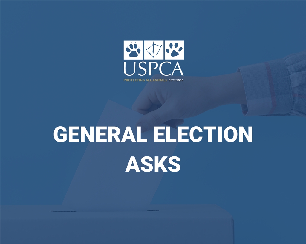 USPCA General Election Asks to Advance Animal Welfare
